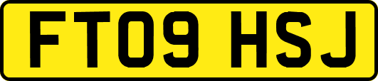 FT09HSJ