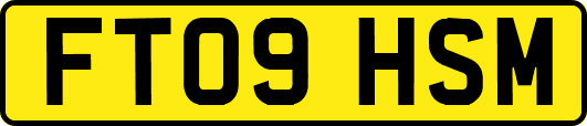 FT09HSM