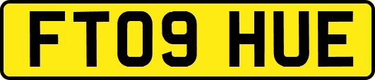 FT09HUE