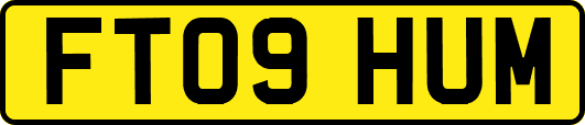 FT09HUM