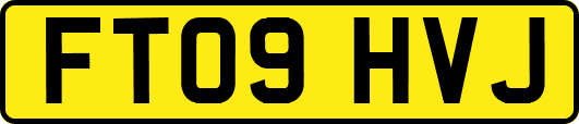 FT09HVJ