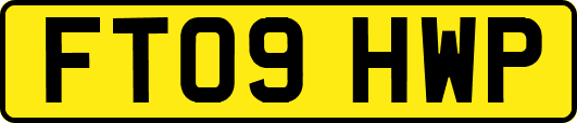 FT09HWP