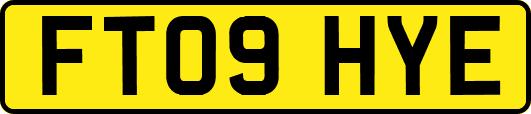 FT09HYE