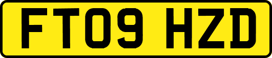 FT09HZD