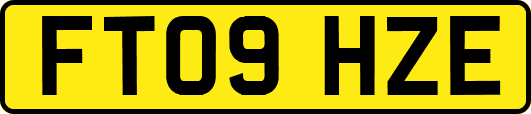 FT09HZE
