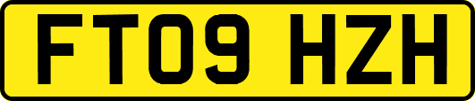 FT09HZH