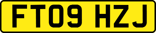 FT09HZJ