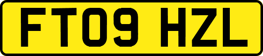FT09HZL