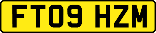 FT09HZM