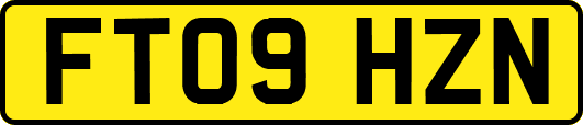 FT09HZN
