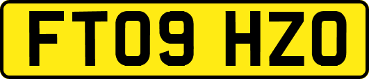 FT09HZO