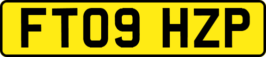 FT09HZP