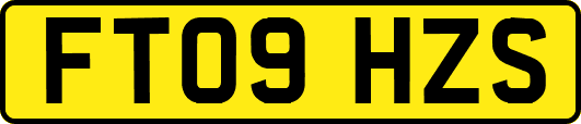 FT09HZS