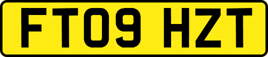 FT09HZT