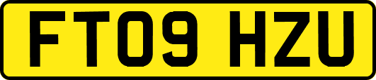 FT09HZU