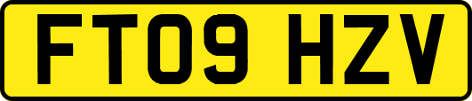 FT09HZV