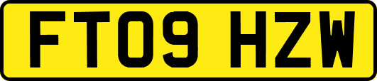 FT09HZW