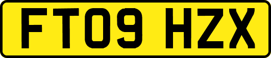 FT09HZX