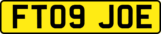 FT09JOE