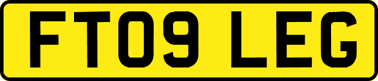 FT09LEG