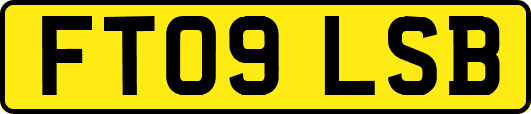 FT09LSB