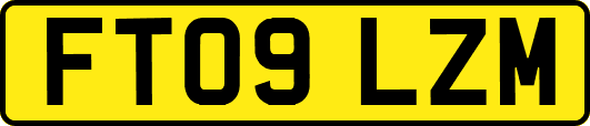 FT09LZM