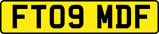 FT09MDF