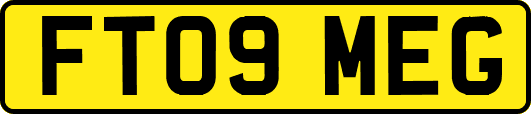 FT09MEG