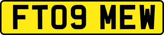FT09MEW