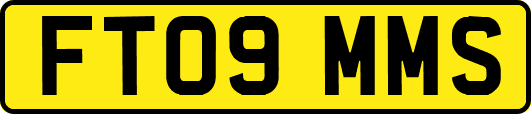 FT09MMS