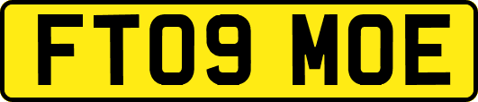 FT09MOE