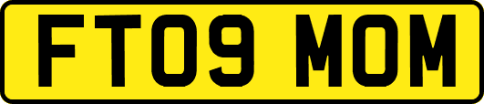 FT09MOM