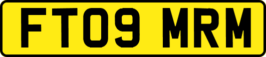 FT09MRM