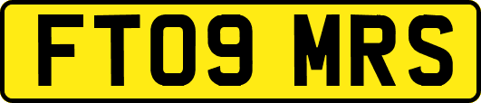 FT09MRS
