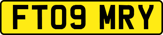 FT09MRY