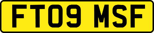 FT09MSF