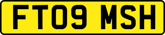 FT09MSH