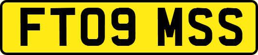FT09MSS