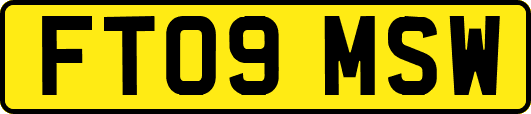 FT09MSW