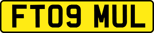 FT09MUL