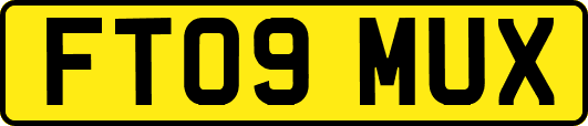 FT09MUX