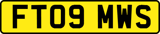FT09MWS