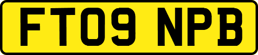 FT09NPB