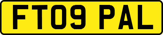 FT09PAL