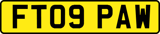 FT09PAW