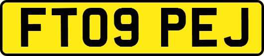 FT09PEJ