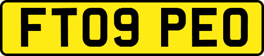 FT09PEO