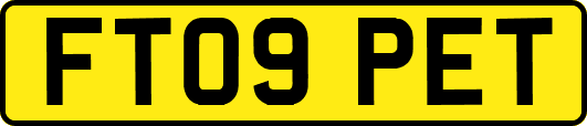 FT09PET