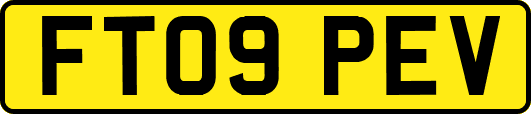 FT09PEV