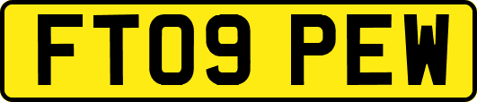 FT09PEW